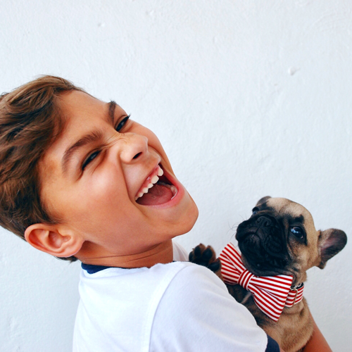 Boy holding a Dog