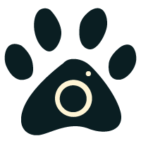 pet-ography logo